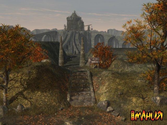 Друиды ушли на "золото" - изображение обложка