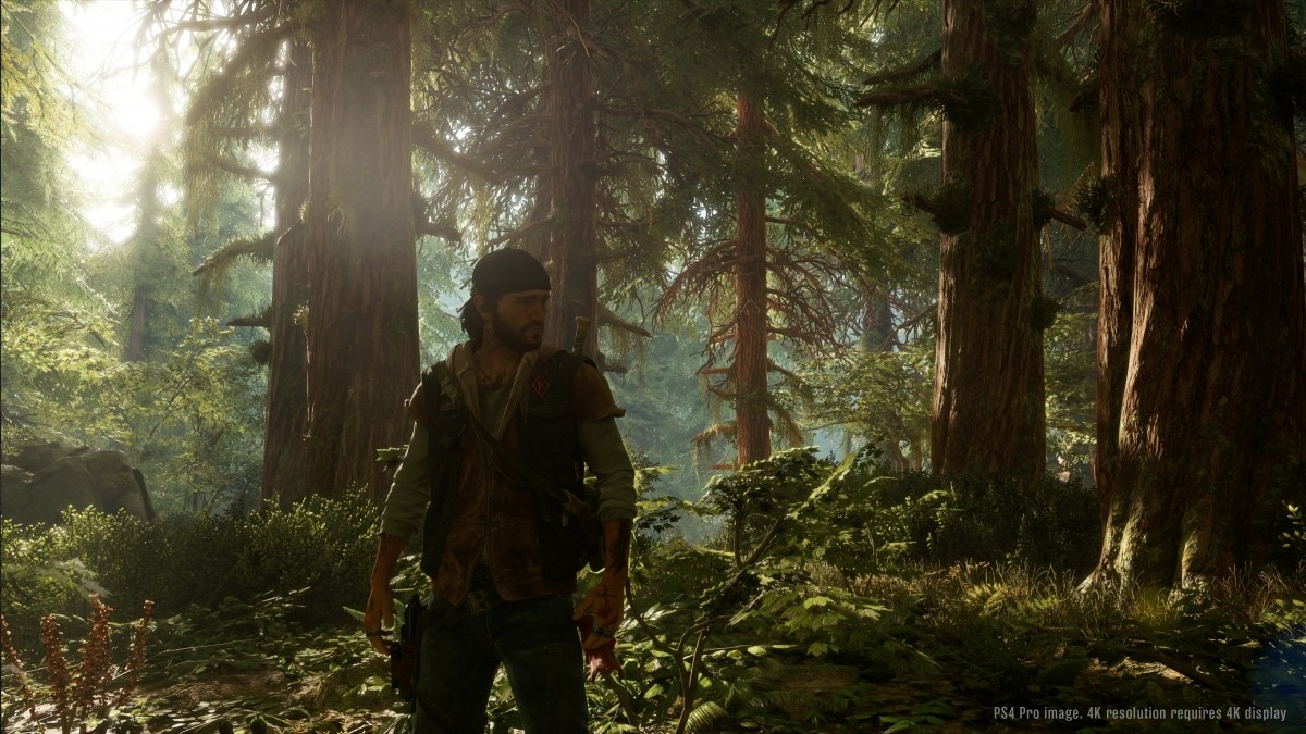 Утечка: Days Gone может выйти в конце года - изображение обложка