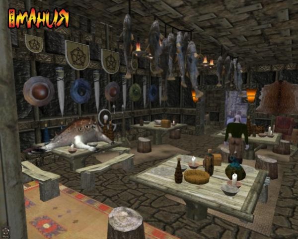 Желаю тестировать Wish - изображение обложка