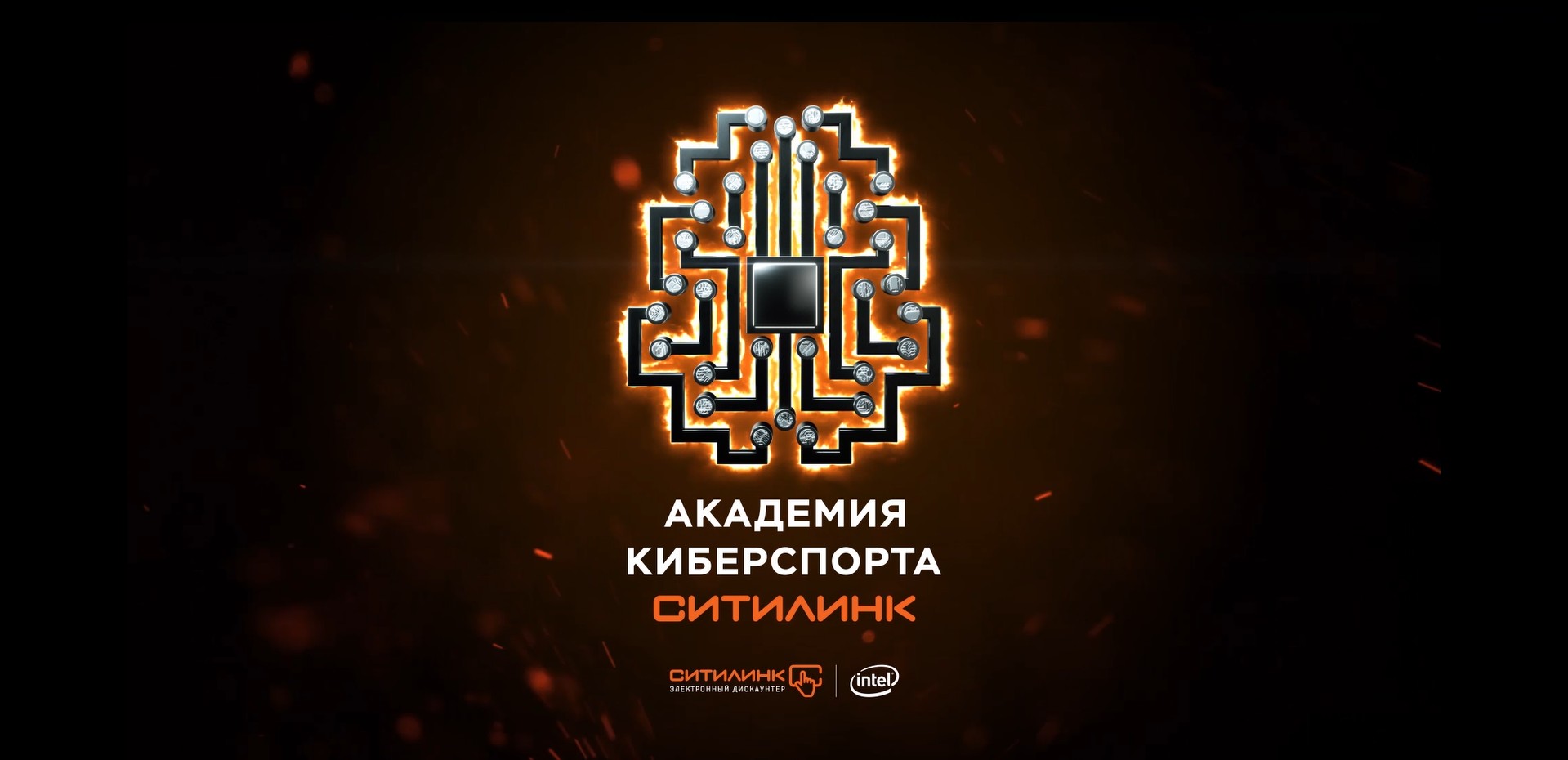 «Академия киберспорта Ситилинк» включится в королевскую битву - изображение обложка
