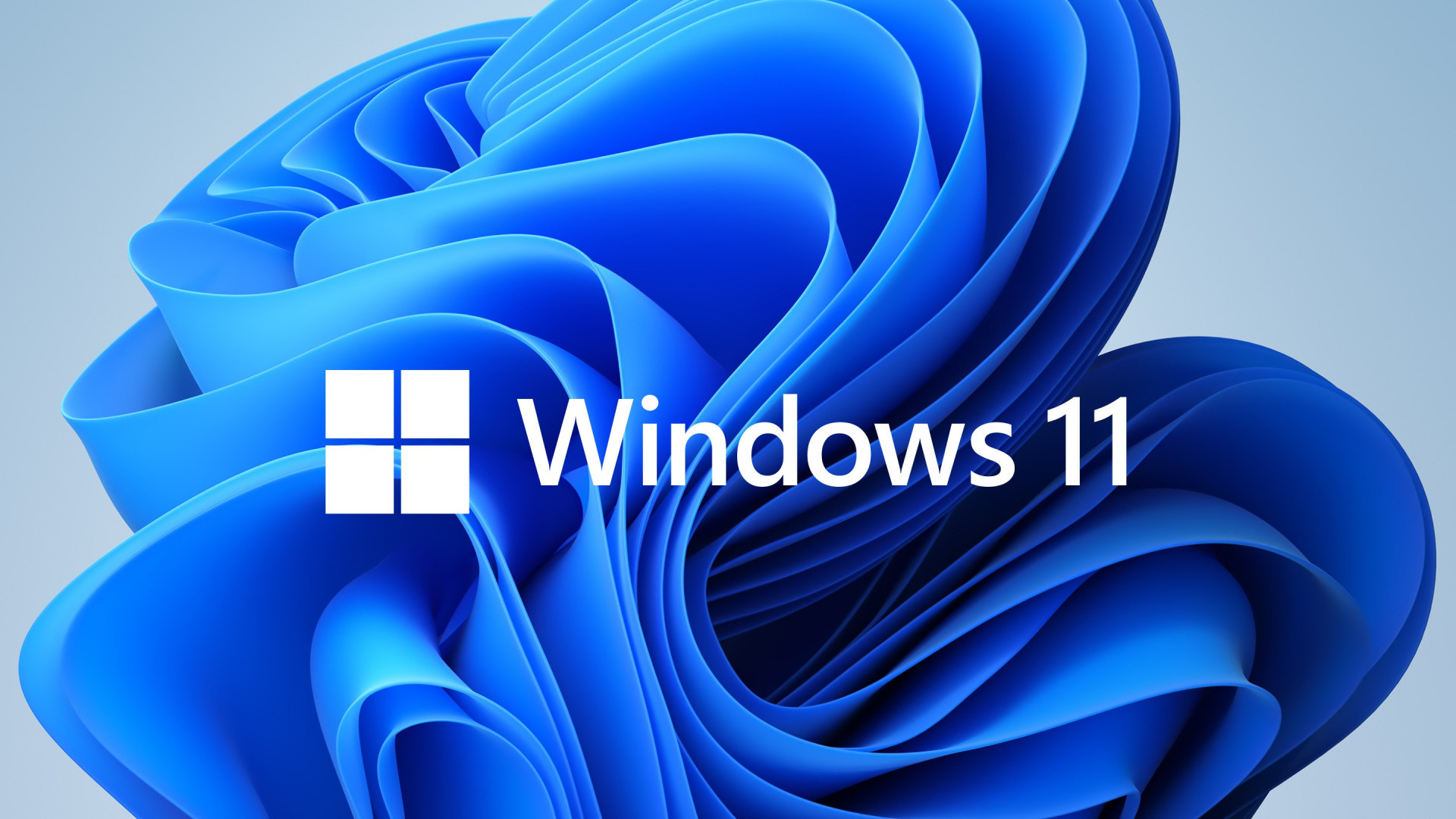 Только каждый пятый пользователь Steam использует Windows 11 - изображение обложка