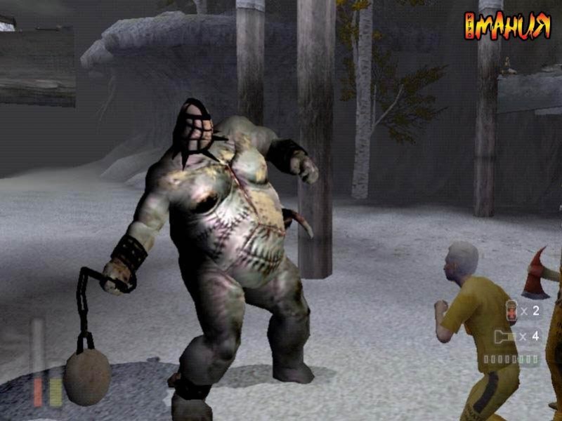 Страдания без конца - изображение обложка