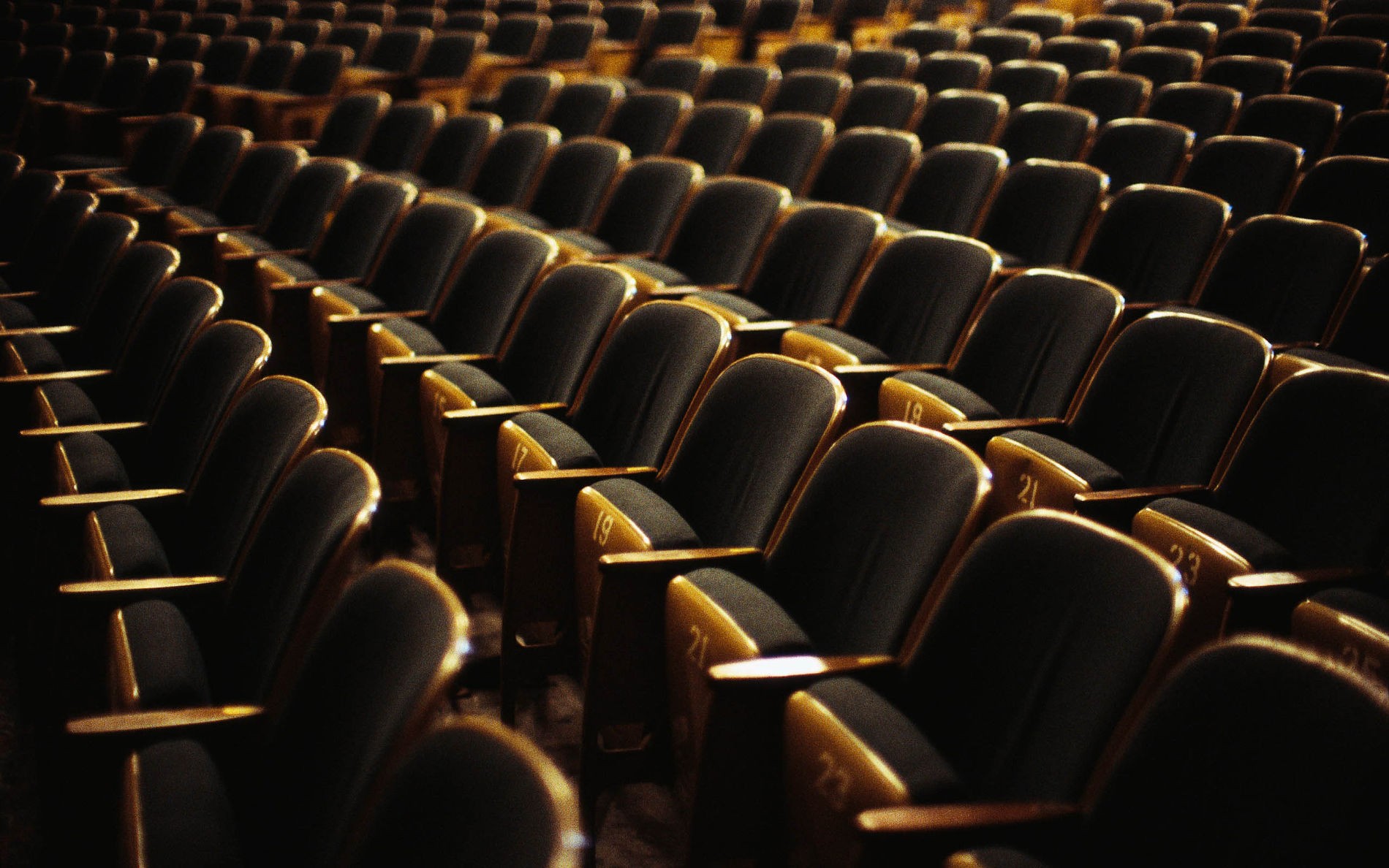 Потери отечественной киноиндустрии могут составить 29 млрд рублей - изображение обложка