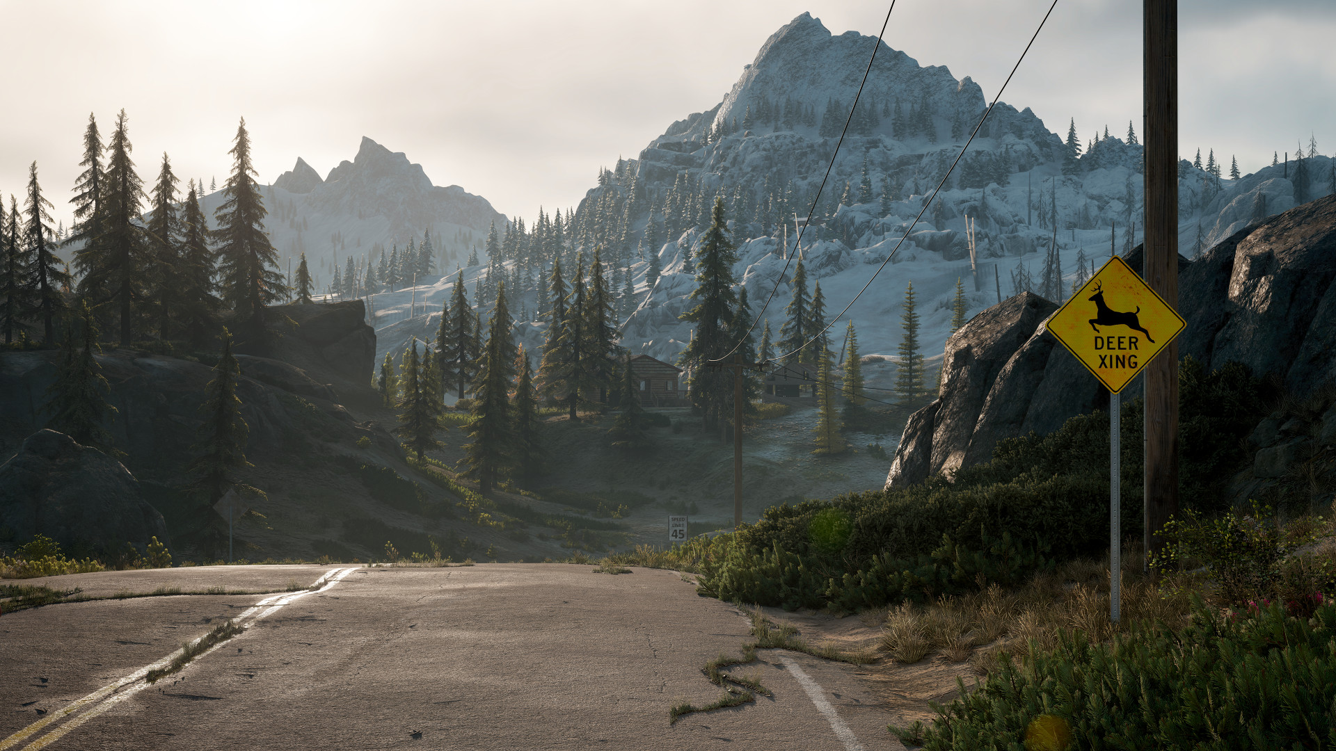 Bend опубликовала 12 скриншотов Days Gone для PC - изображение 1 Bend опубликовала 12 скриншотов Days Gone для PC - фото 1