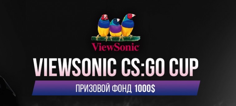 ViewSonic приглашает игроков на турнир по Counter-Strike: Global Offensive - изображение обложка