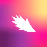 НВКЛ не удалять, картинки! - фото 1