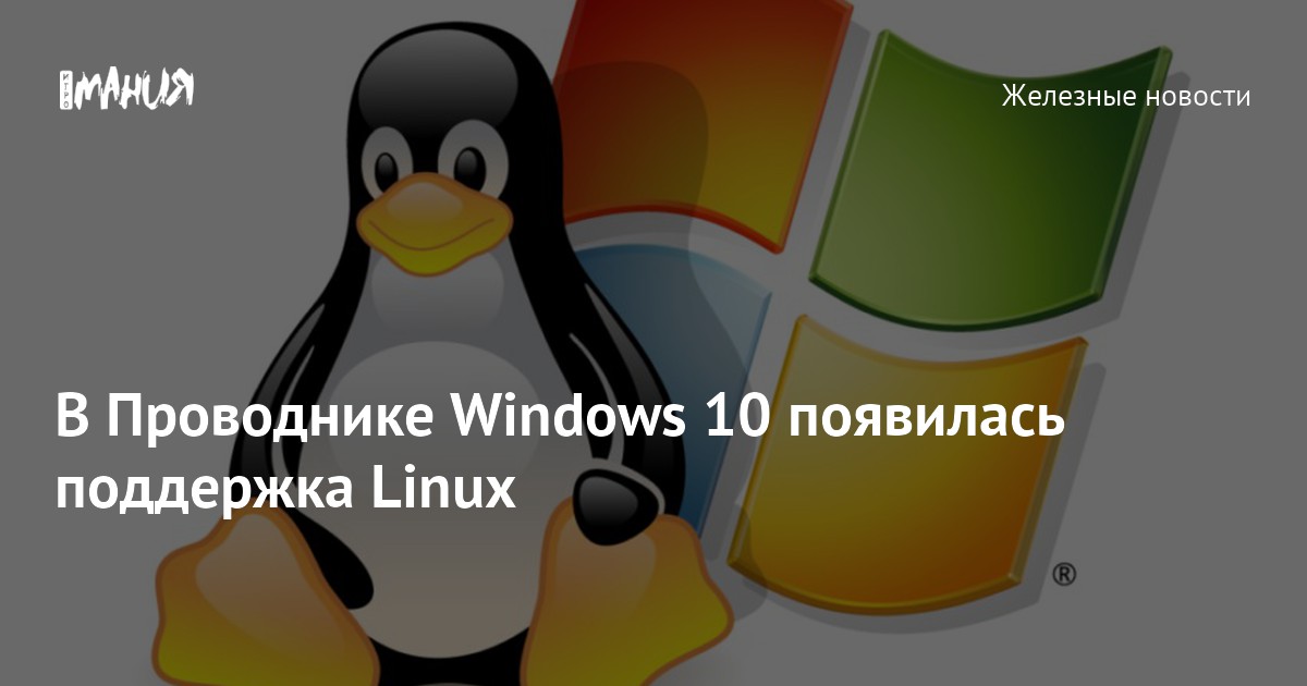 В Проводнике Windows 10 появилась поддержка Linux — Игромания