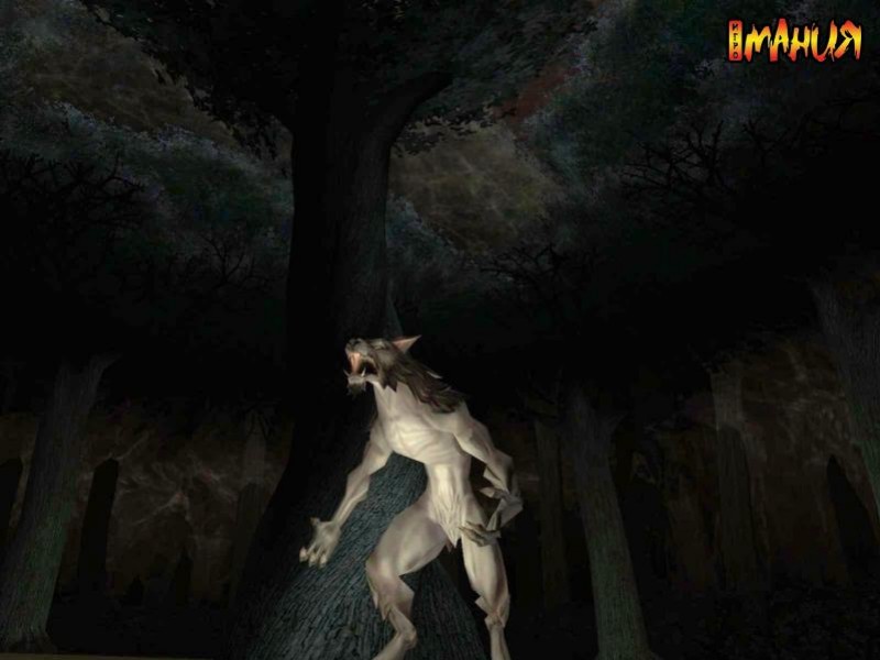 Темная пустота EverQuest - изображение обложка