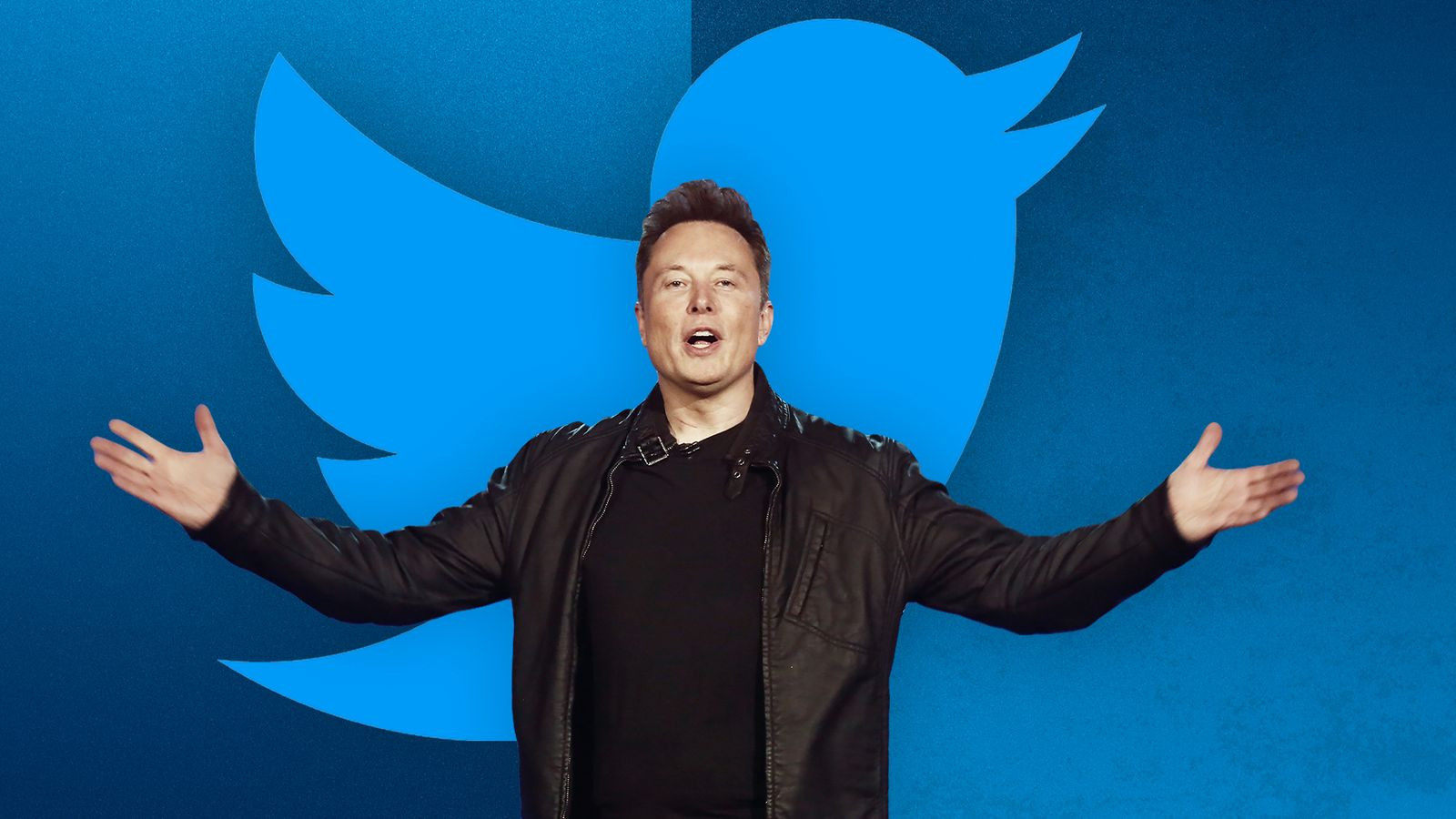Илон Маск устроит амнистию некоторым заблокированным аккаунтам Twitter - изображение обложка