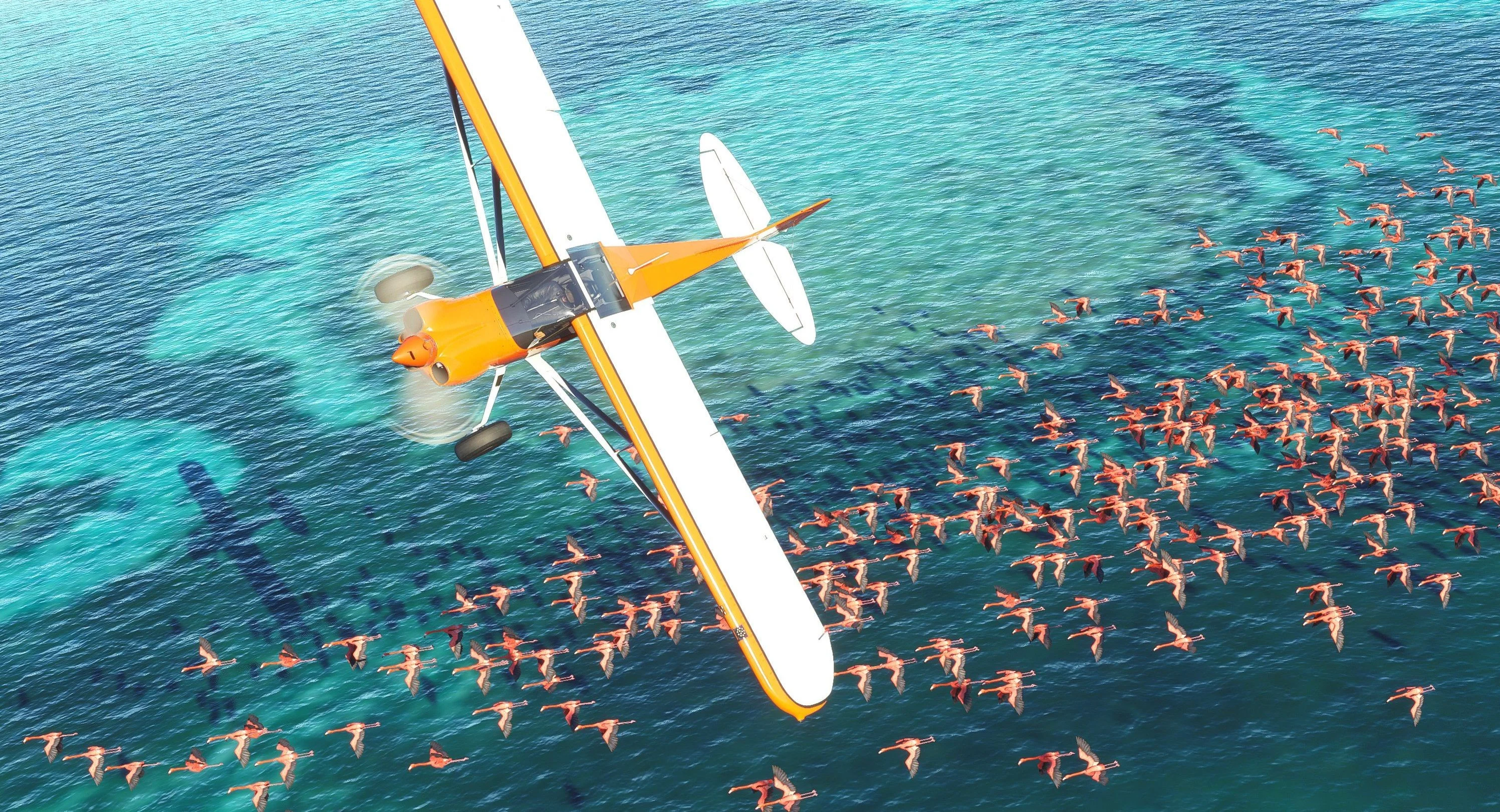 Microsoft flight simulator 2019