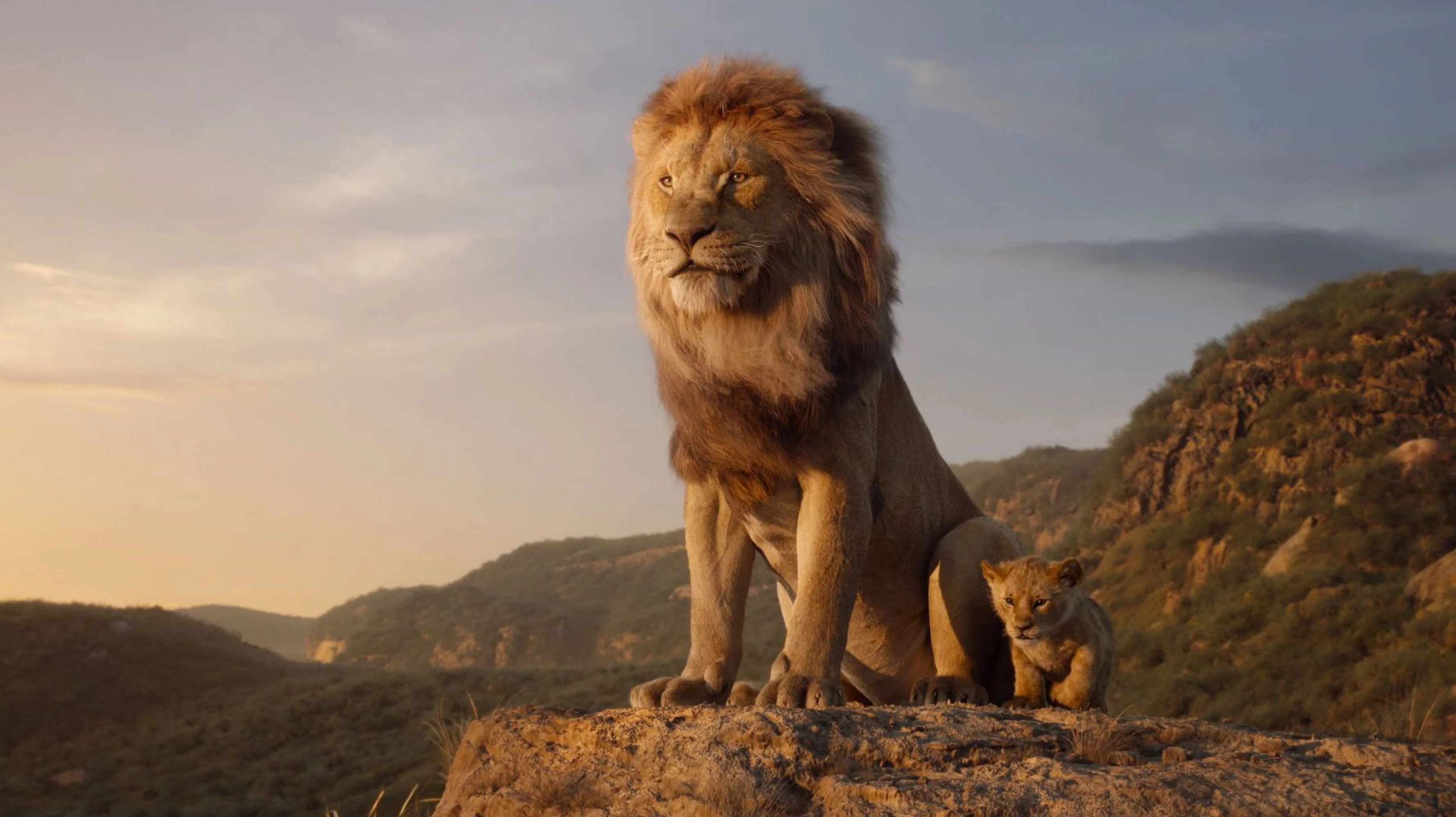Zack Lion