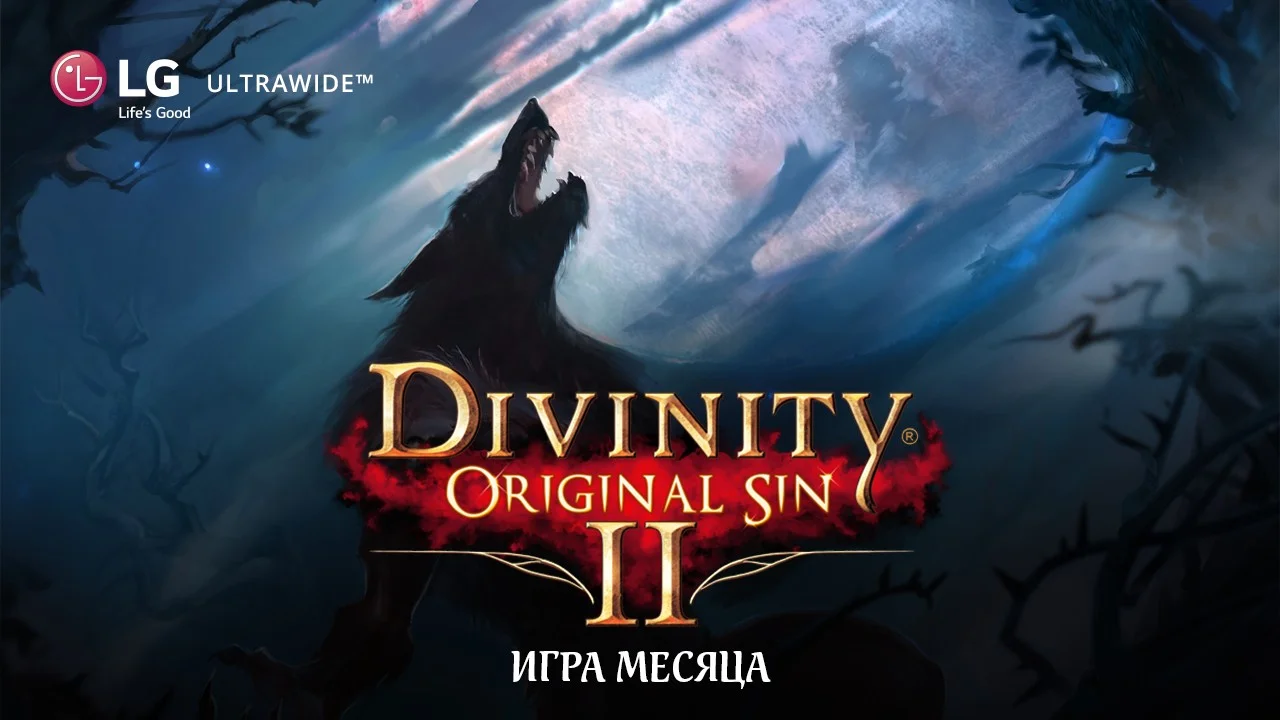 Темный тотем divinity original. Игра месяца.