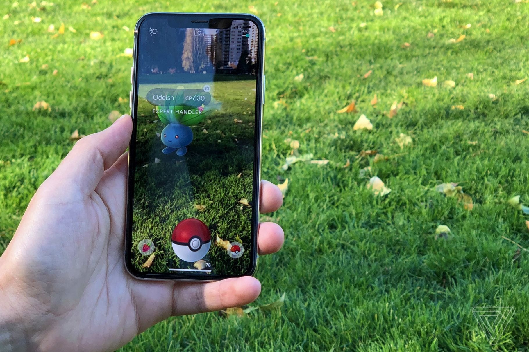 Покемоны становятся ближе: на Pokémon Go тоже влияет COVID-19 - изображение обложка