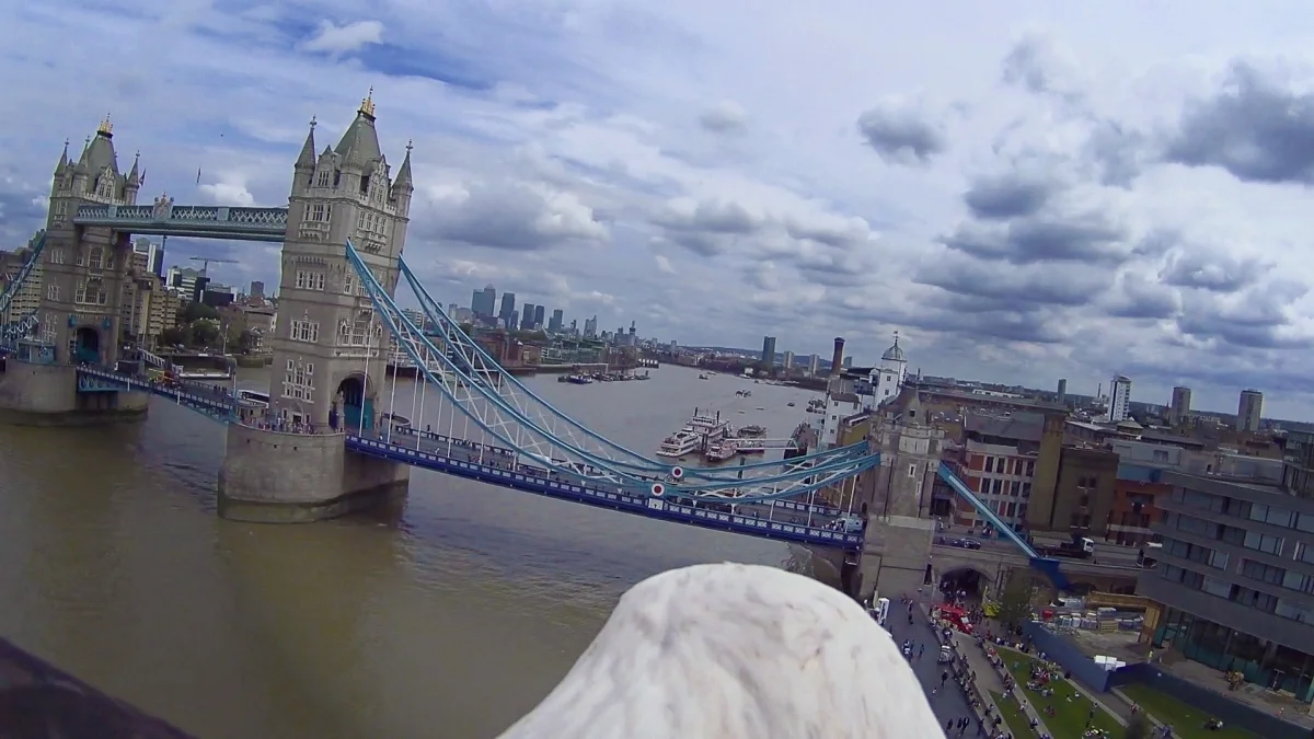 Ubisoft показала Лондон с высоты птичьего полета в рекламе Assassin's Creed: Syndicate - фото 1