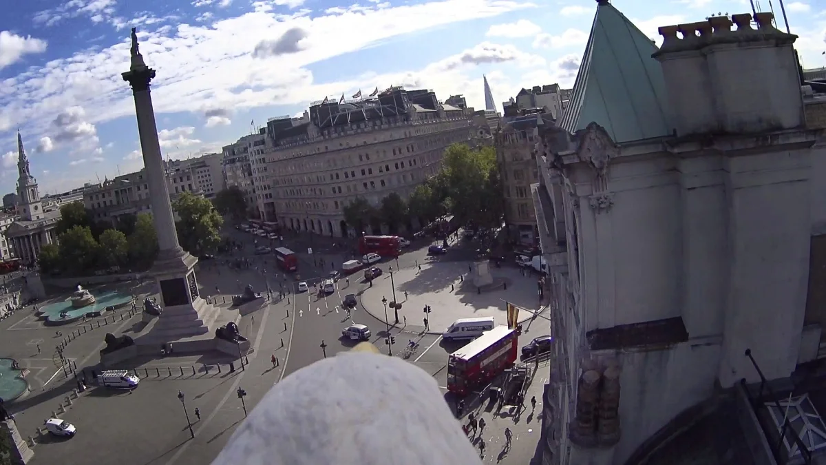 Ubisoft показала Лондон с высоты птичьего полета в рекламе Assassin's Creed: Syndicate - фото 2
