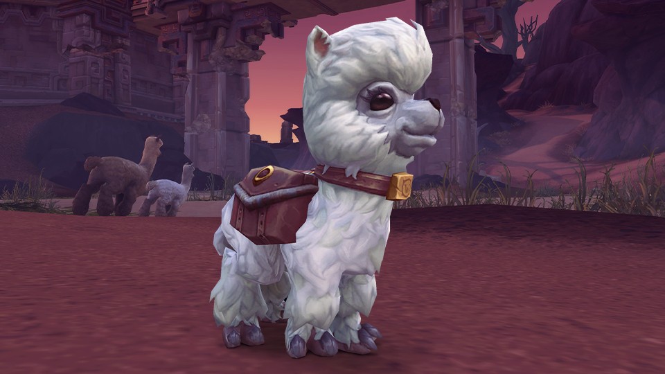 Blizzard выпустила нового «благотворительного» питомца для World of Warcraft - изображение обложка
