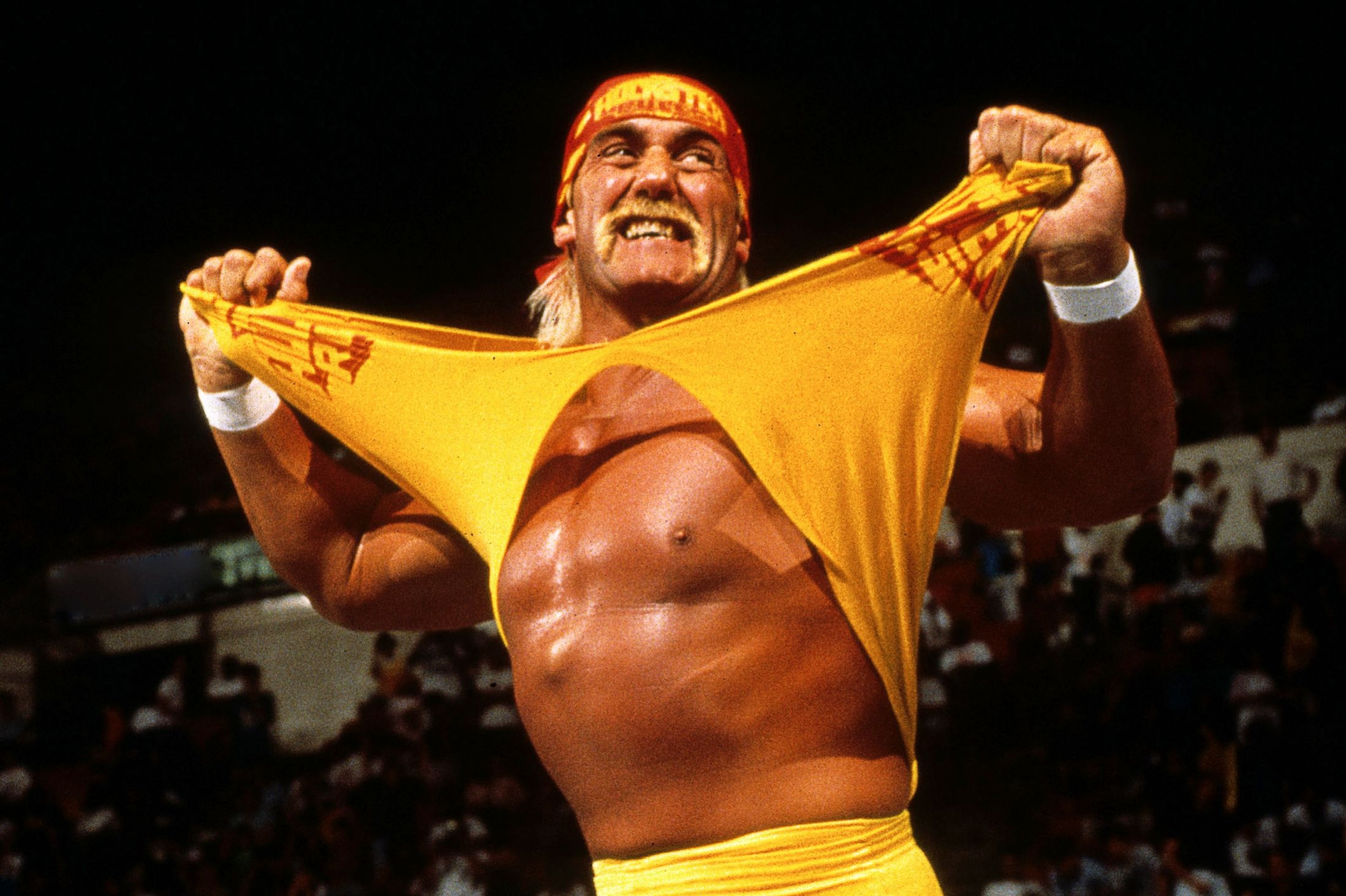 WWE 2K16 выпустят к концу 2015 года - изображение обложка