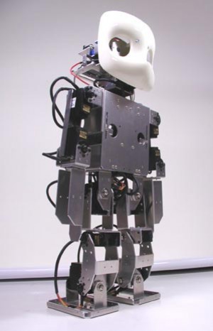 Устрашающий рободруг Remo - изображение обложка