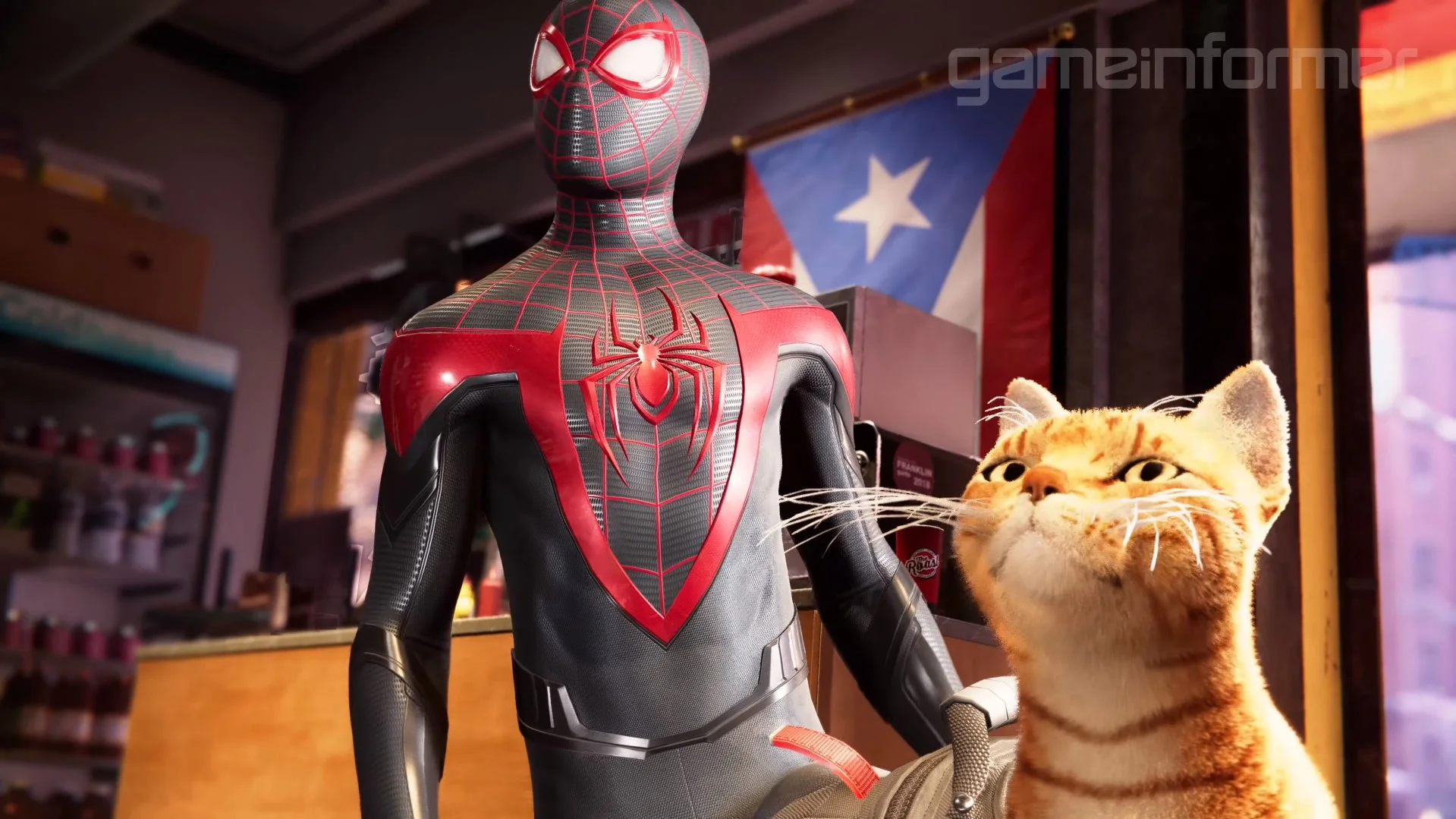 Кот паук. Spider man ps5 Майлз кот. Спайдер кот Майлз Моралес. Кот паук Майлз Моралес игра. Майлз Моралес с котом.