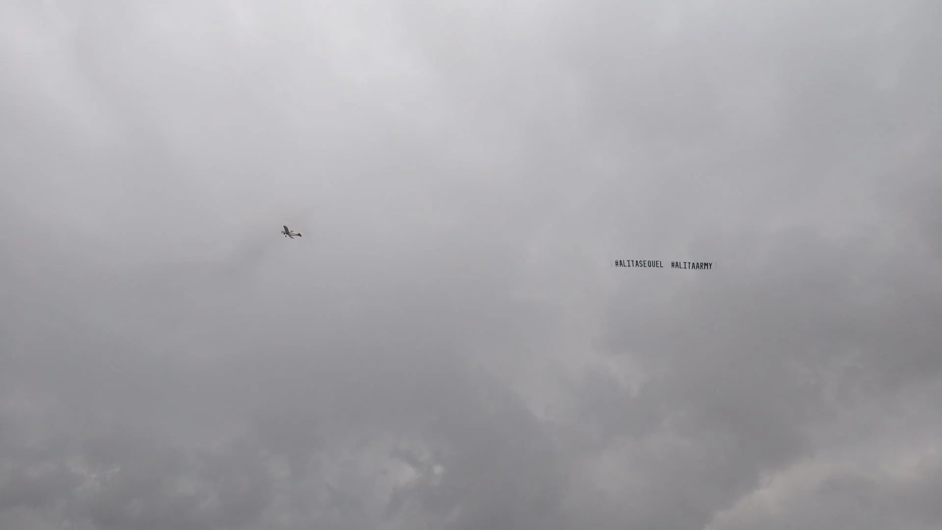 Фанаты «Алиты» заказали самолёт с баннером в поддержку сиквела на «Оскаре» - фото 1