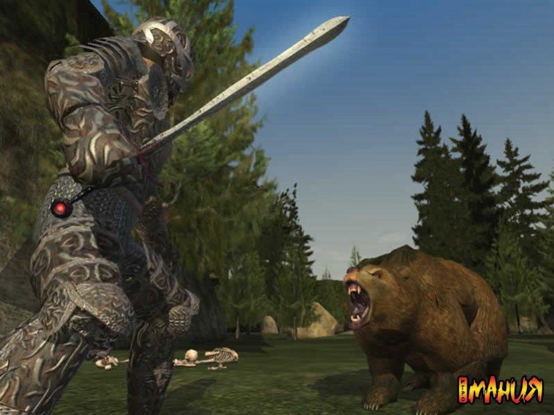 Бейсболисты в Everquest 2 - изображение обложка