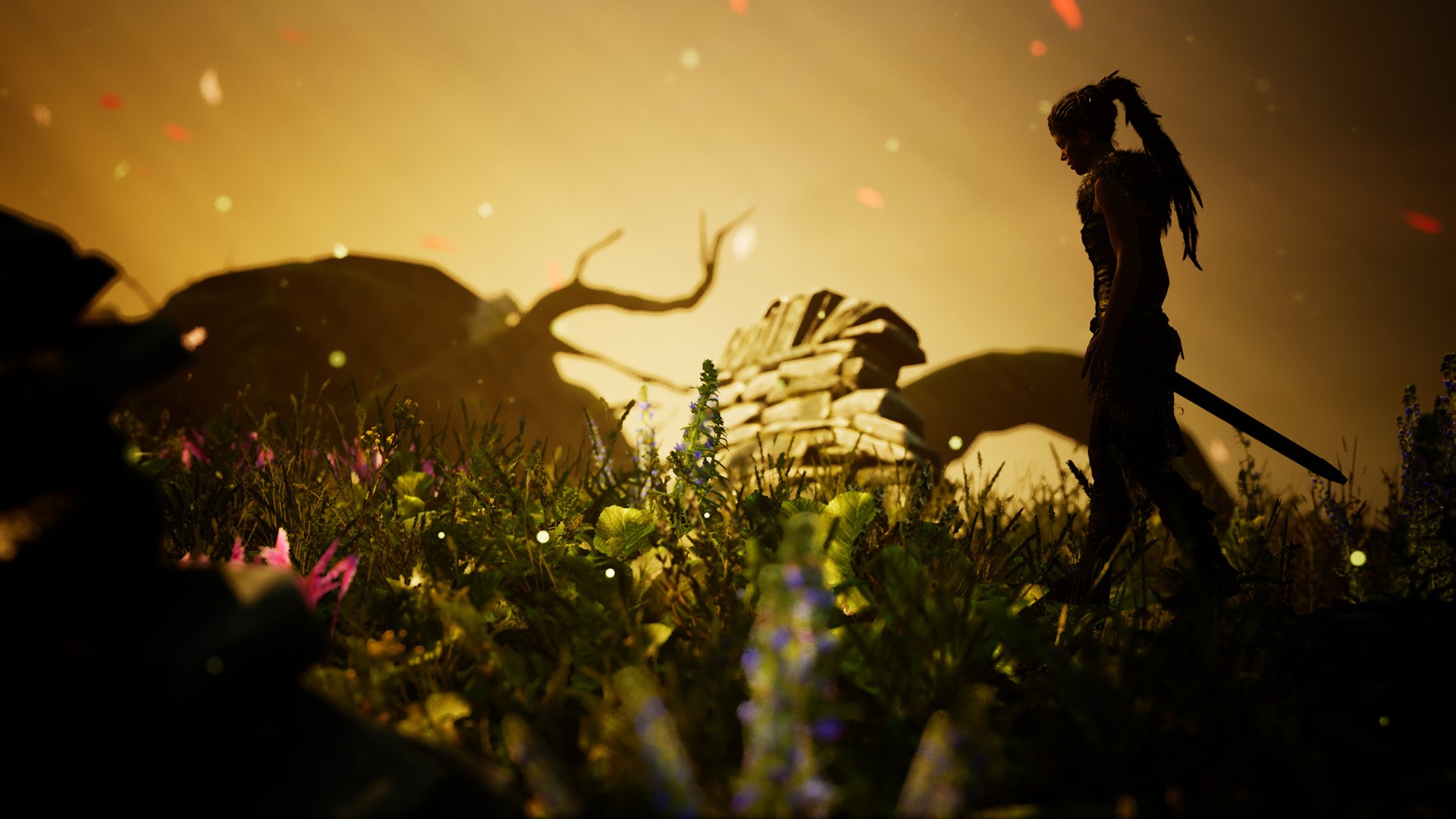 В игре Hellblade: Senua’s Sacrifice появится фоторежим - изображение обложка