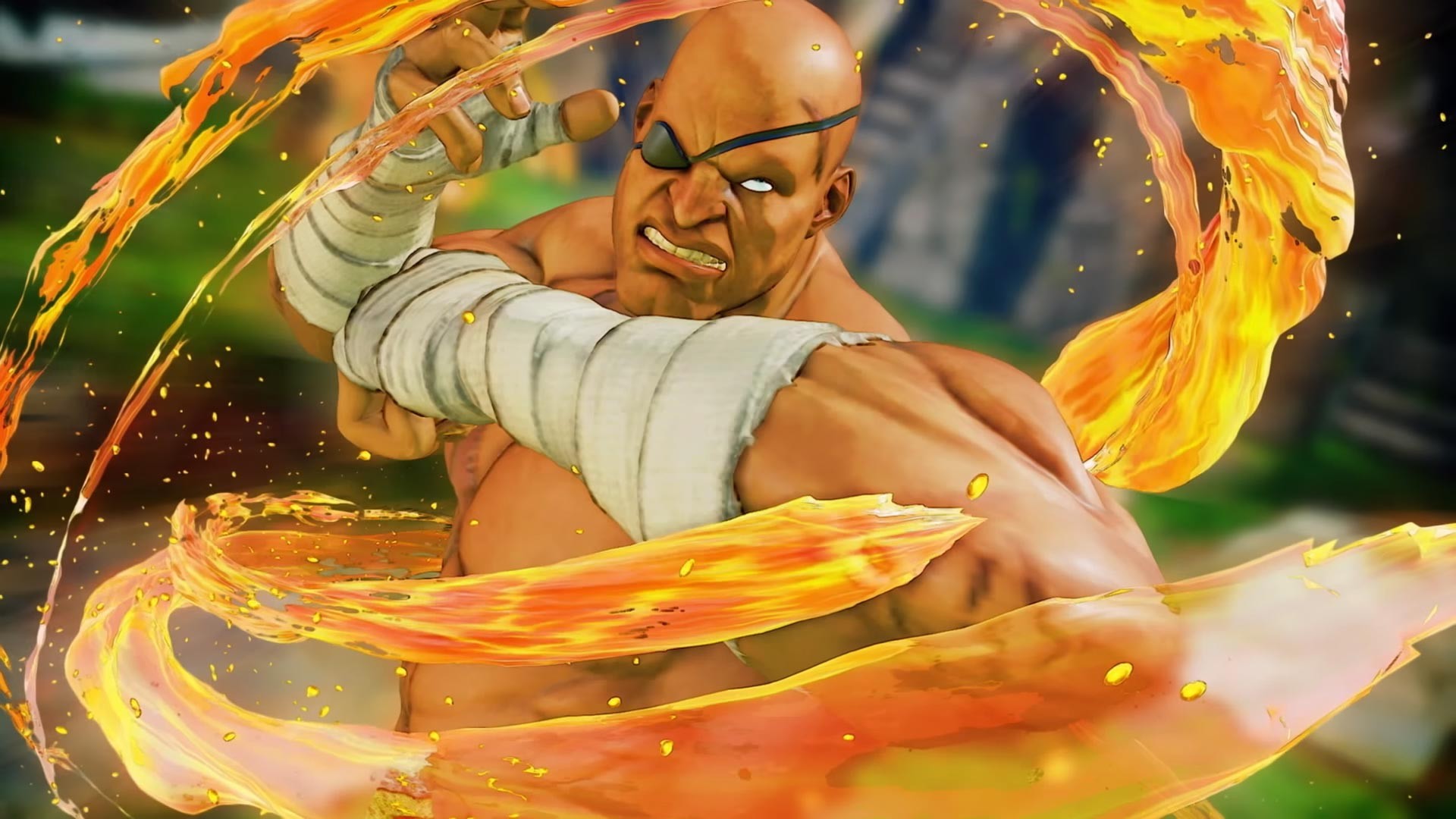 Capcom показала персональные трейлеры G и Сагата - изображение обложка