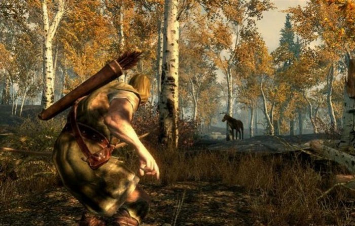 Skyrim не отдадут в чужие руки - изображение обложка