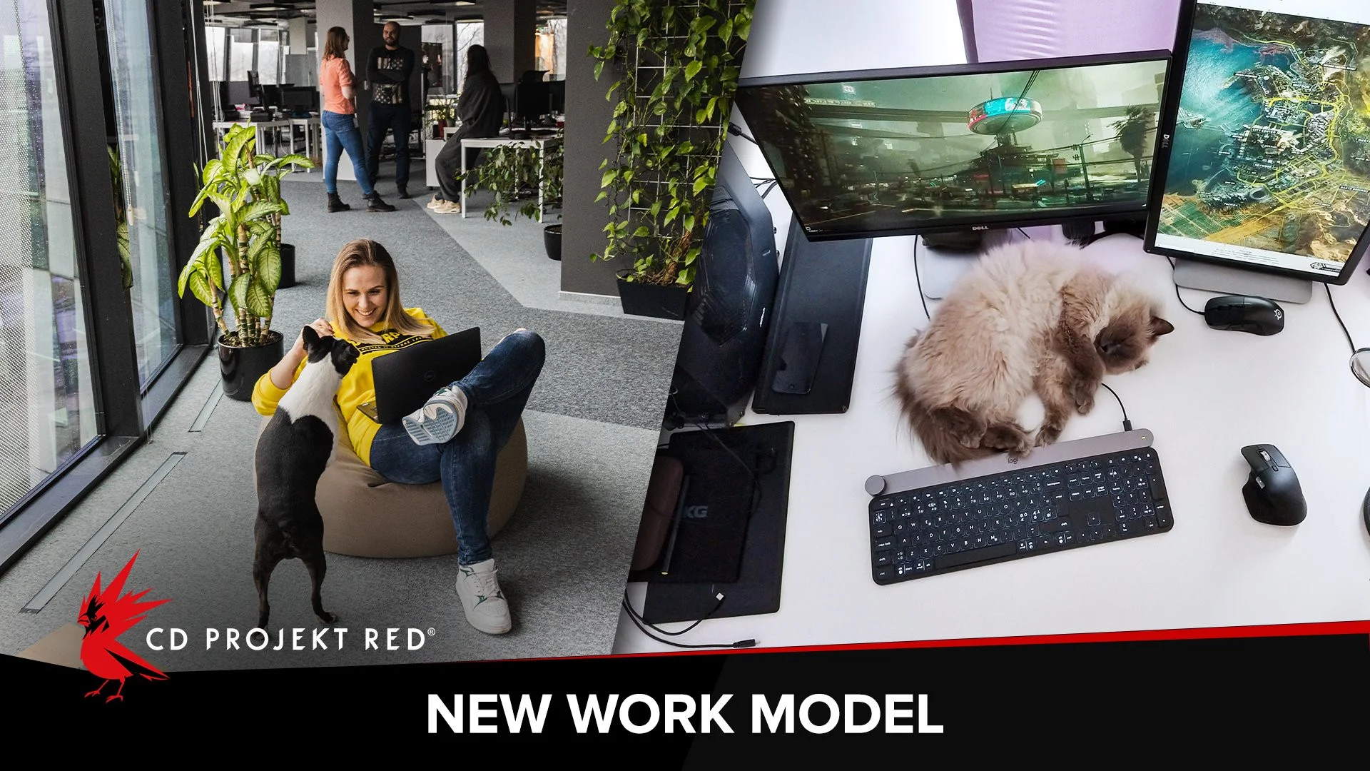 Право выбора: отныне работать в CD Projekt RED можно как дома, так и в офисе - фото 1