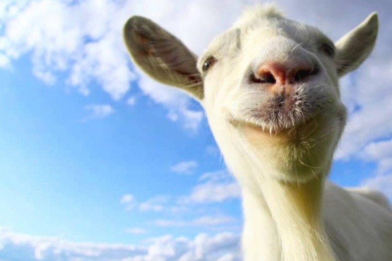 Goat Simulator выпустили на Xbox One - изображение обложка