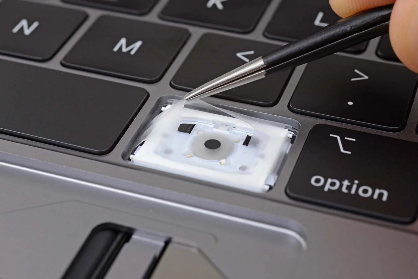 Эксперты iFixit оценили новую клавиатуру 16-дюймового MacBook Pro - фото 4