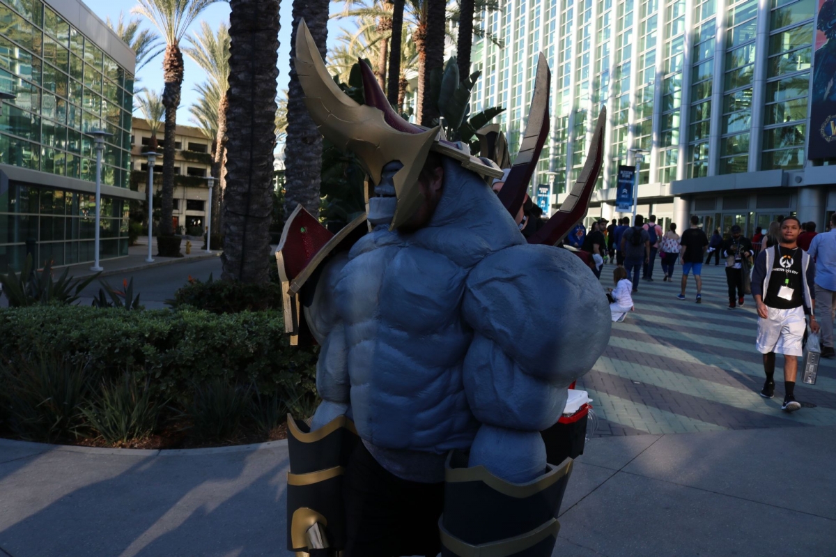 Мы гуляем по BlizzCon 2018 (Обновлено) - фото 40