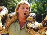 Фанаты World of Warcraft провожают Стива Ирвина - изображение обложка