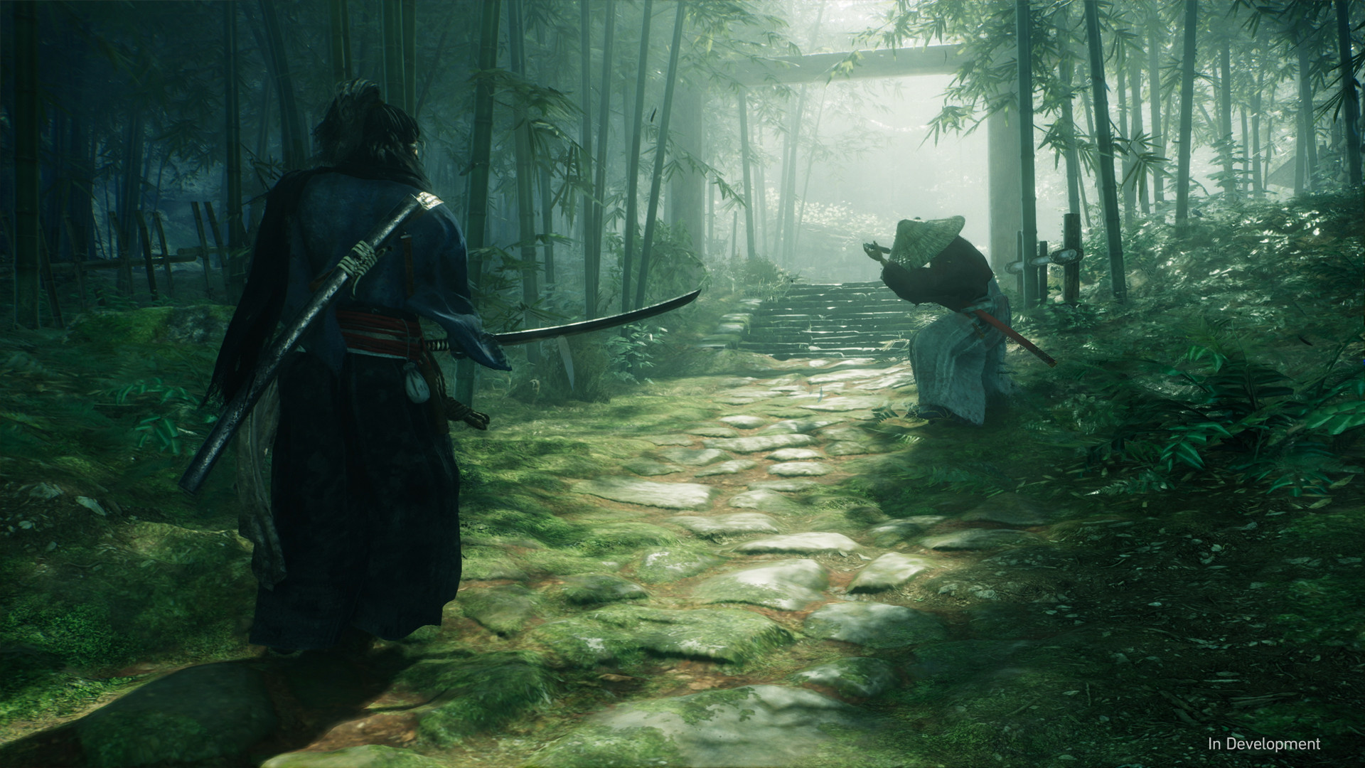 Мрачная Япония и поединки на катанах — детали самурайского экшена Rise of the Ronin - изображение обложка