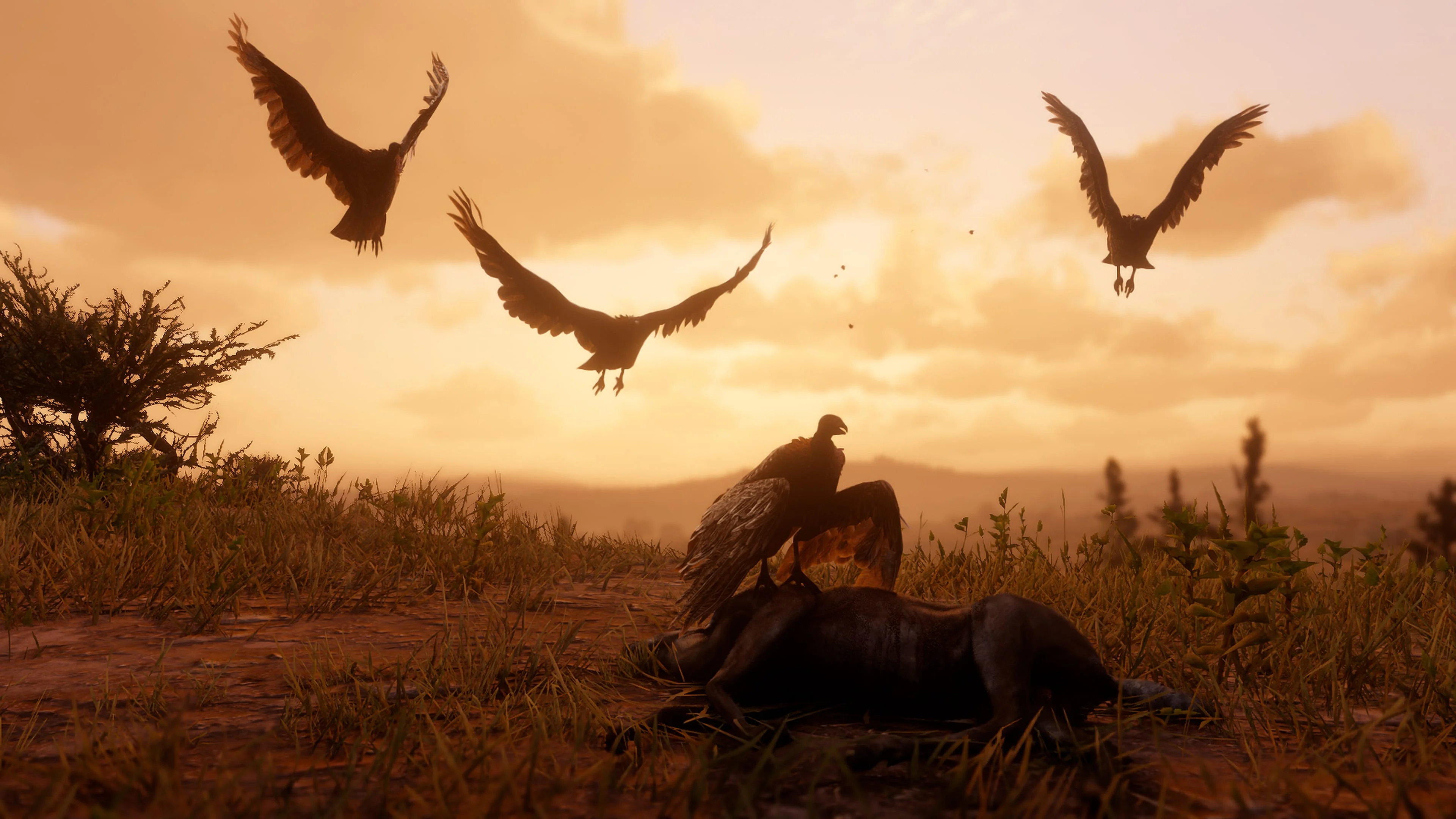 Rockstar показала ещё шесть скриншотов Red Dead Redemption 2 с животными - фото 3