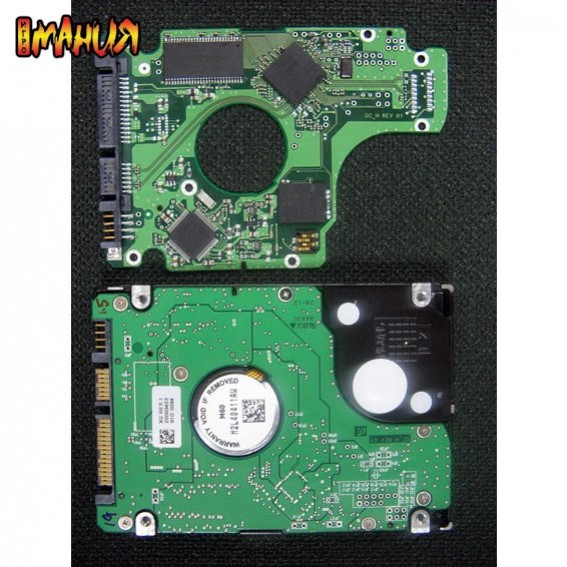 Гибриды завоевывают мир - изображение обложка