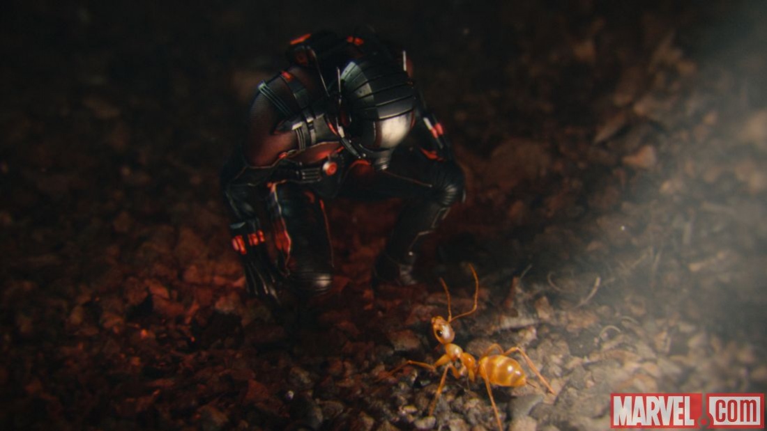 «Человек-муравей» обзавелся новым трейлером - изображение 5 «Человек-муравей» обзавелся новым трейлером - фото 5