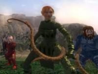 Echoes of Faydwer в продаже - изображение обложка