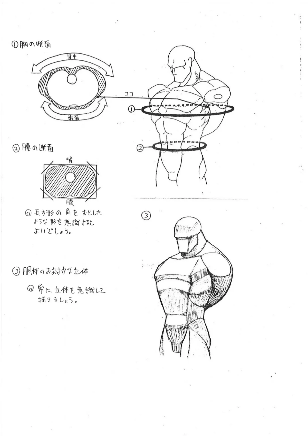 Capcom показала «шпаргалки» по анатомии для дизайнеров Street Fighter - фото 4
