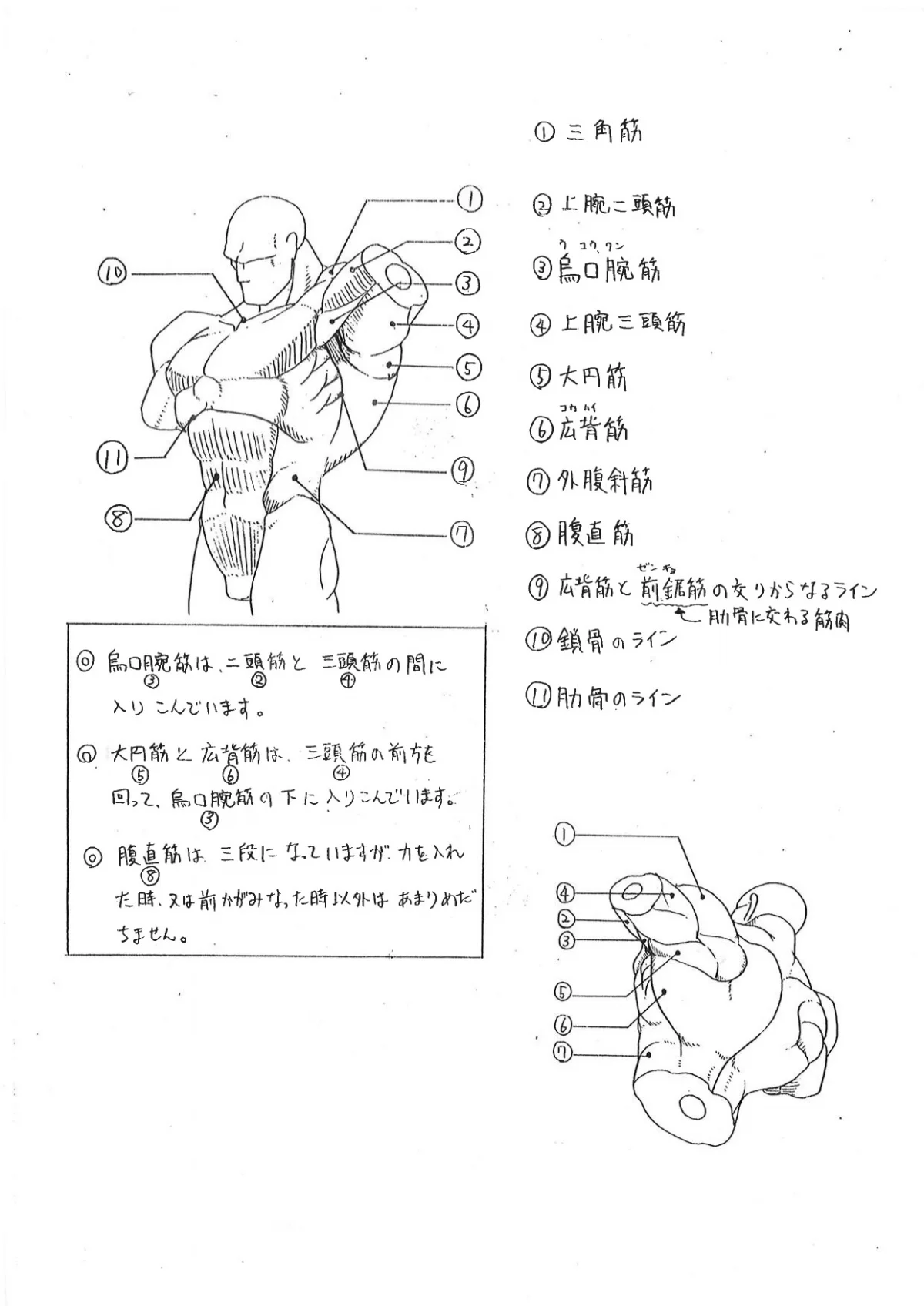 Capcom показала «шпаргалки» по анатомии для дизайнеров Street Fighter - фото 3