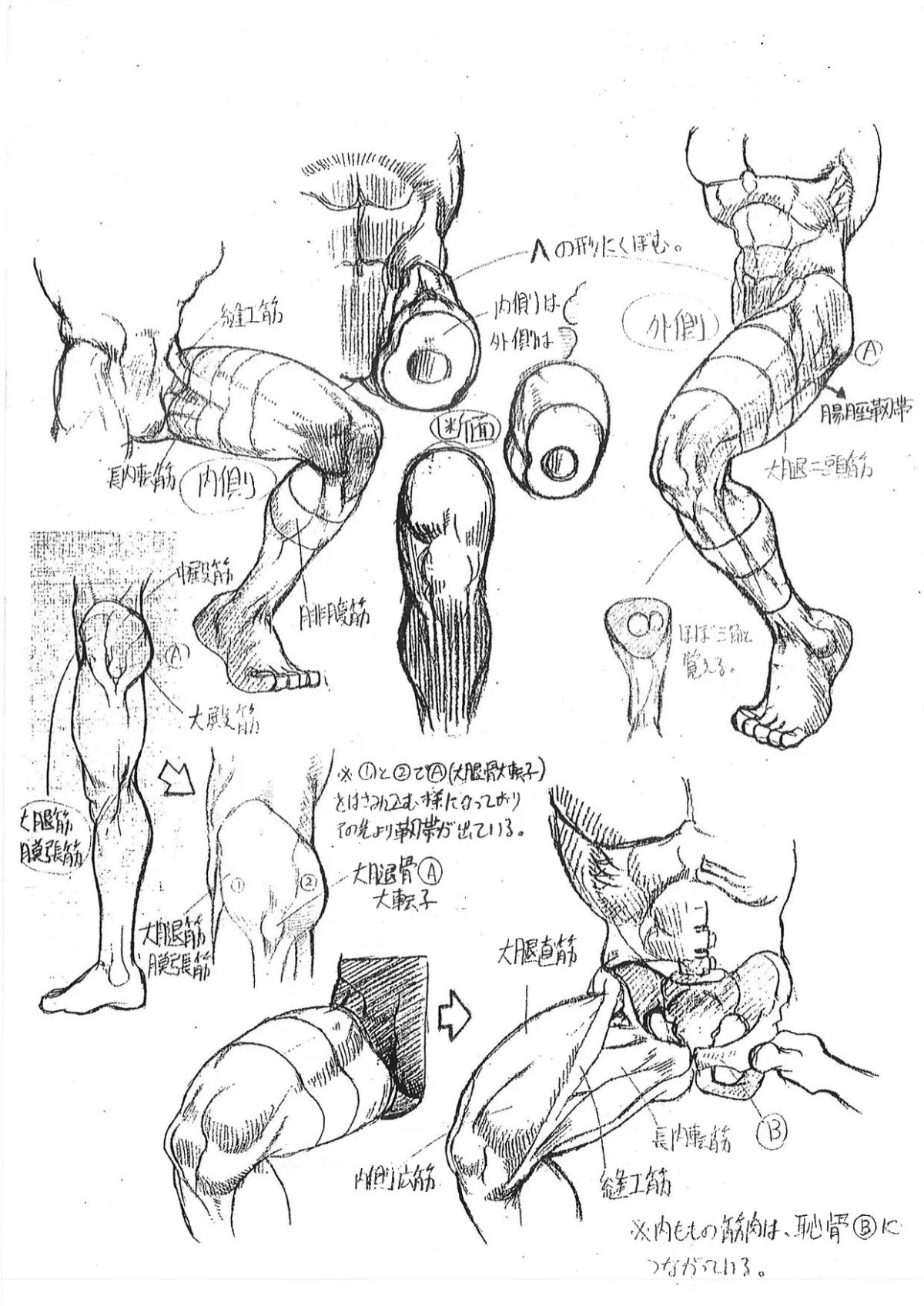 Capcom показала «шпаргалки» по анатомии для дизайнеров Street Fighter - фото 8