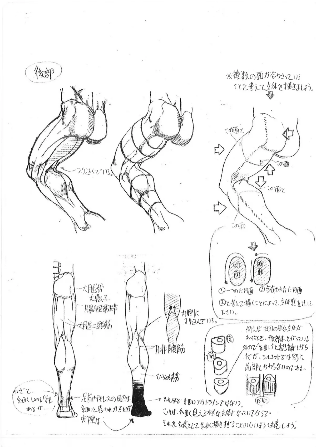 Capcom показала «шпаргалки» по анатомии для дизайнеров Street Fighter - фото 1