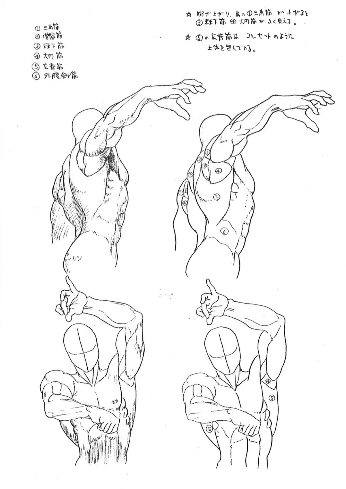 Capcom показала «шпаргалки» по анатомии для дизайнеров Street Fighter - фото 7