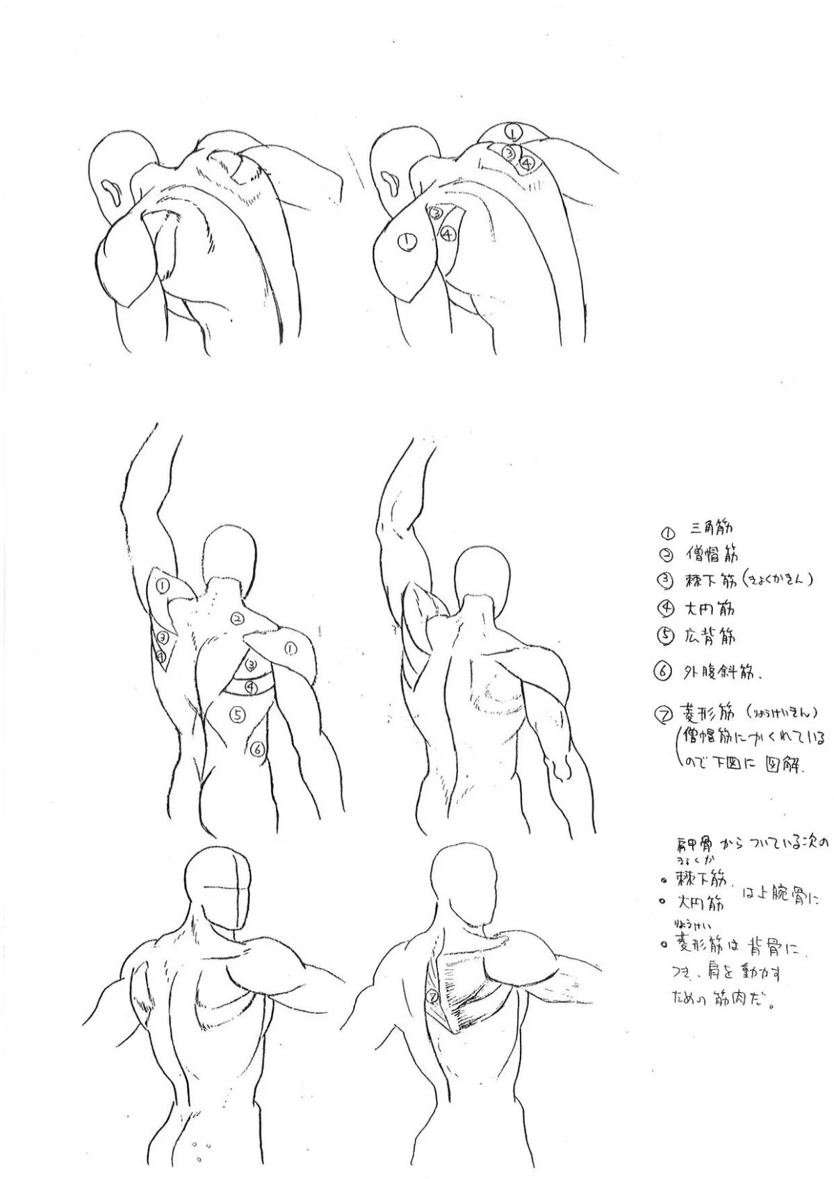 Capcom показала «шпаргалки» по анатомии для дизайнеров Street Fighter - фото 6