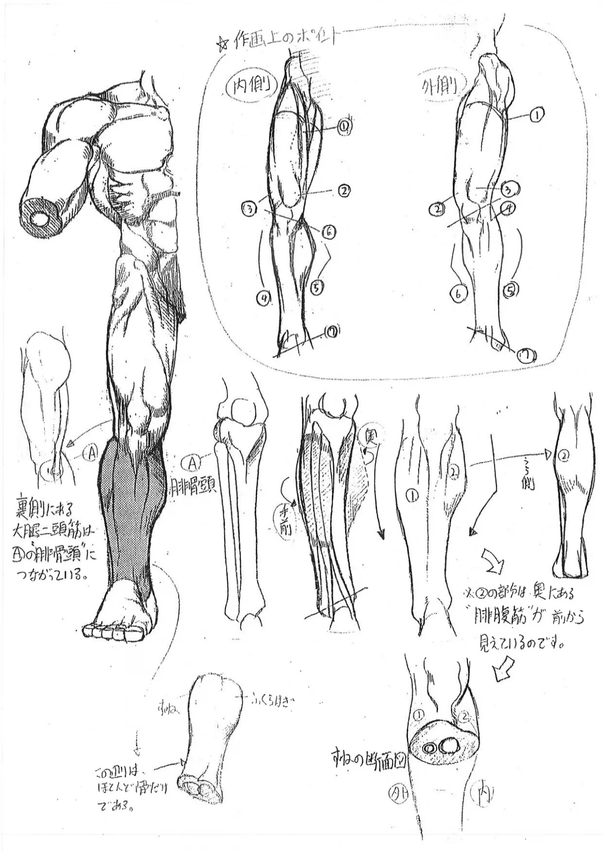 Capcom показала «шпаргалки» по анатомии для дизайнеров Street Fighter - фото 5