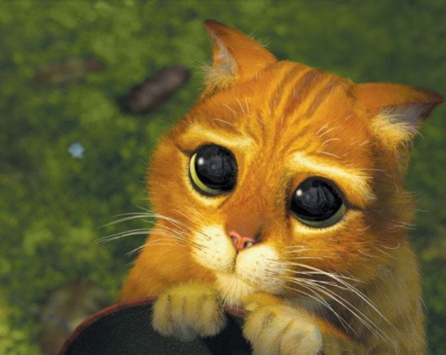 Забаненным читерам в H1Z1 предложили публично извиниться на YouTube - изображение обложка