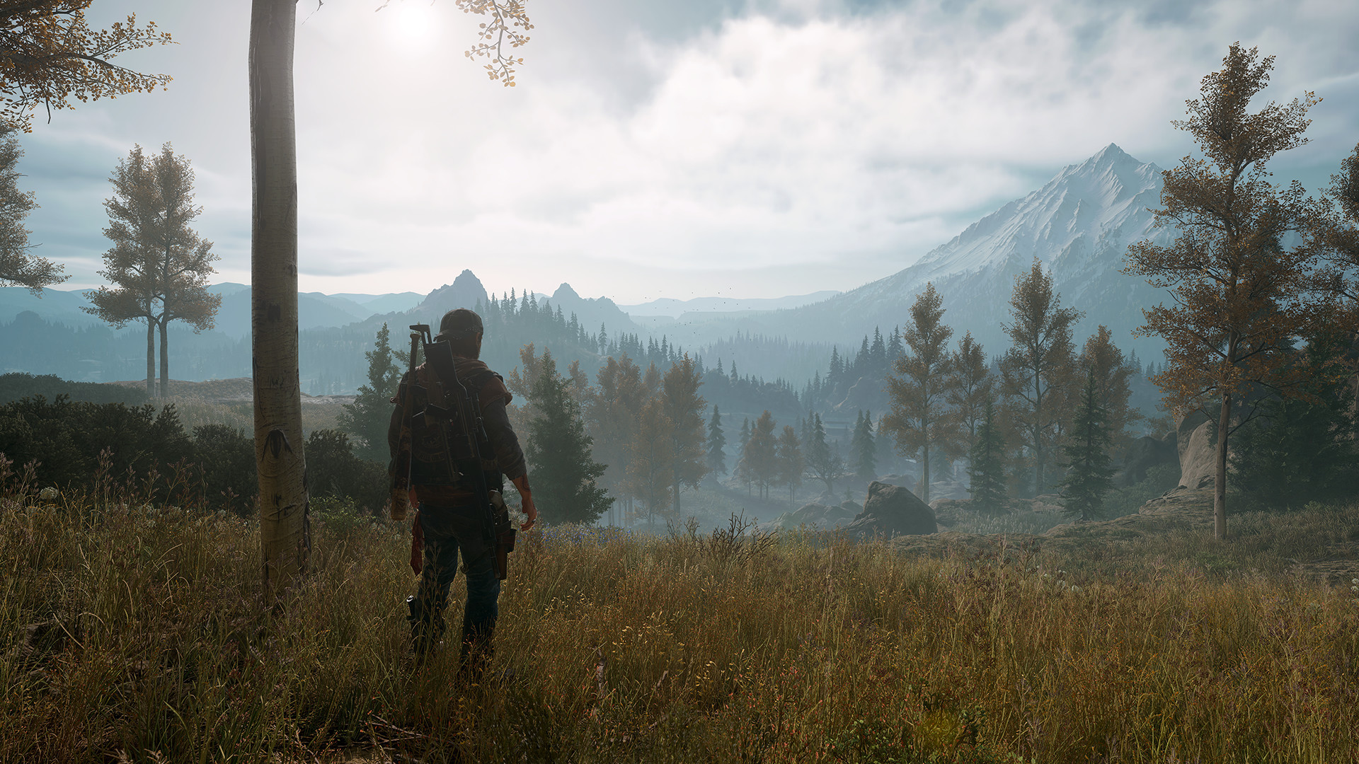 Days Gone на PC оценили выше, чем на PS4 - изображение обложка