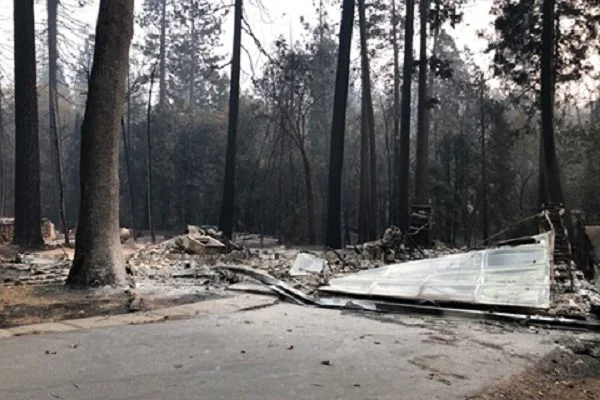 Джон Ромеро помогает пострадавшим от пожара в Калифорнии сценаристам - фото 2