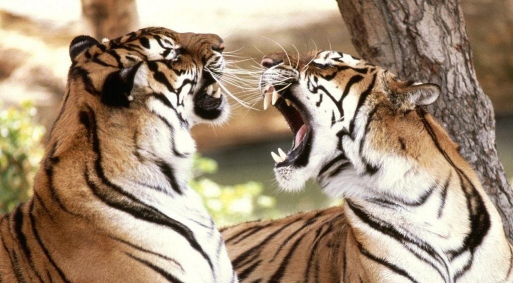 Что PS3 плохо, то Xbox 360 хорошо - изображение обложка