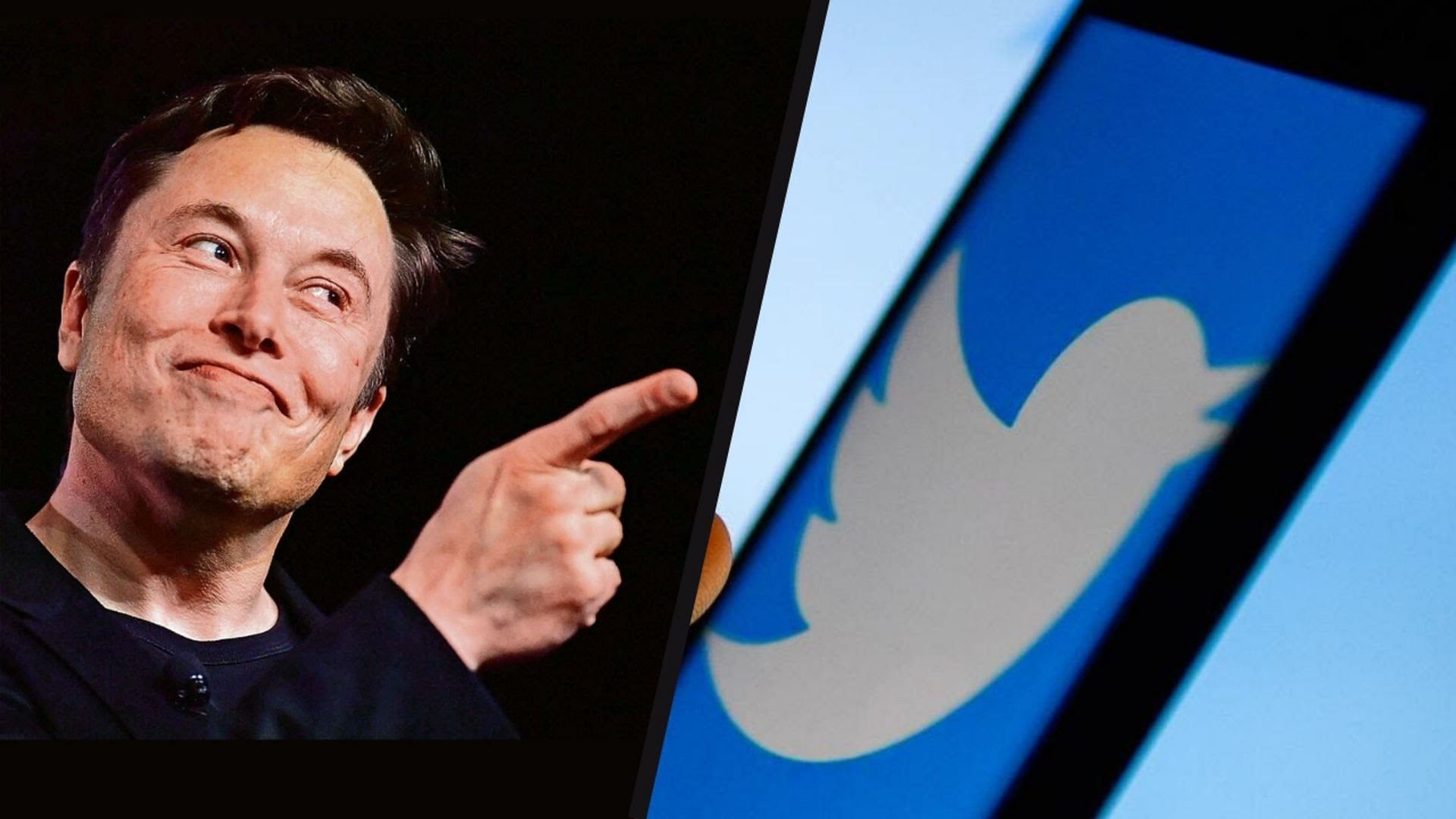 Хакер предложил Илону Маску выкупить 400 миллионов украденных Twitter-аккаунтов - изображение обложка